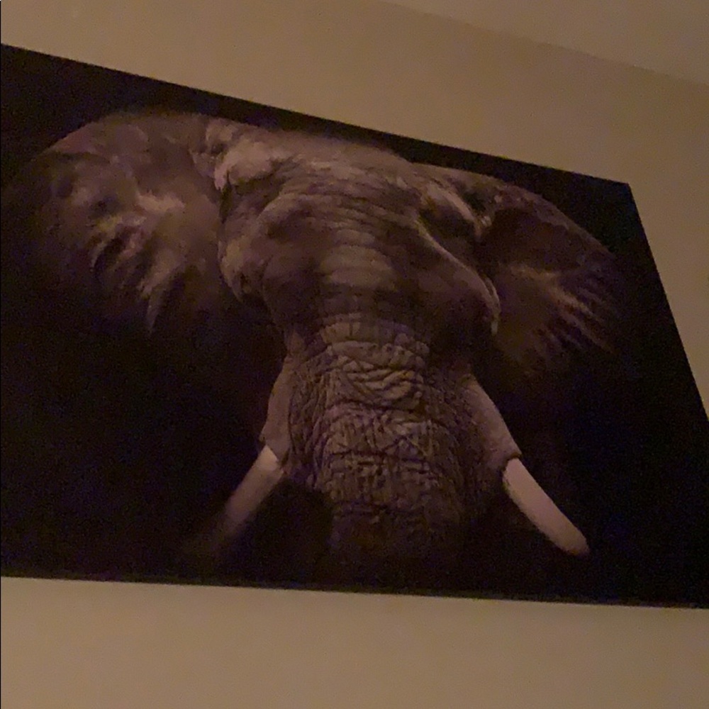 Meet your Posher, Chase